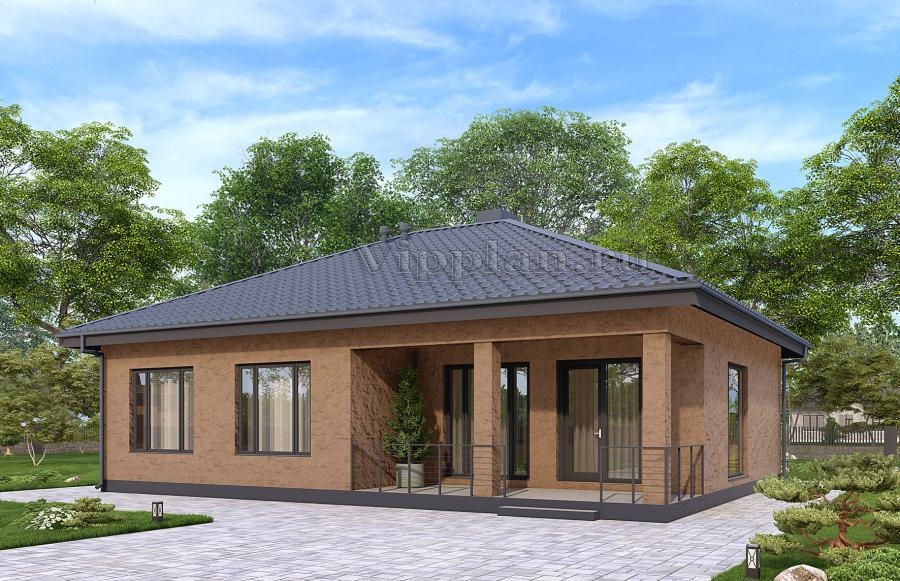 Одноэтажный дом террасой и просторной гостиной